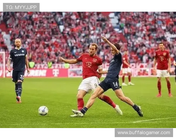 勒沃库森本赛季表现稳健，竞争力持续提升