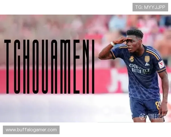 楚阿梅尼技术解析