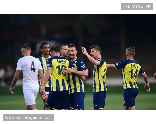 费内巴切进攻数据